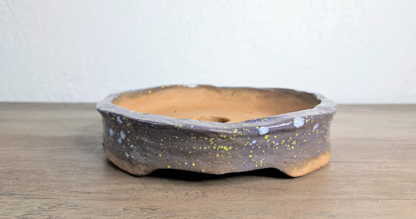 Custom Handmade BLB Bonsai Pot - 7 inches