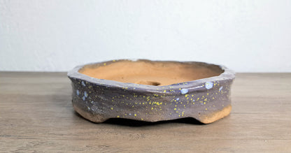 Custom Handmade BLB Bonsai Pot - 7 inches